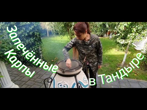 Видео: Карп в тандыре, незабываемый вкус