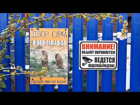 Видео: Гостевой Дом Двор Сурка Ростовская обл. Как добраться до Грузии и Турции на Авто.