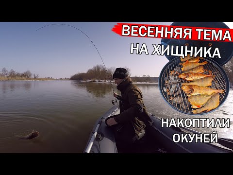 Видео: ЭТО ЛЮБИМОЕ ЛАКОМСТВО ОКУНЯ ВЕСНОЙ! Рыбалка на щуку и окуня 2021! Ловля окуня и щуки на спиннинг