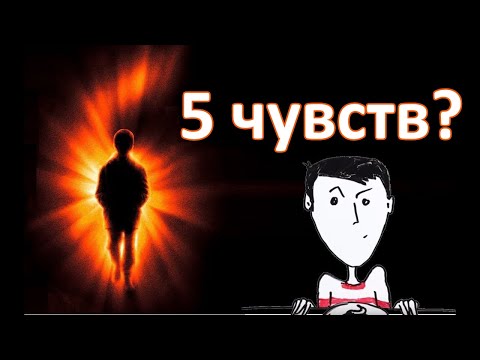 Видео: У нас более пяти чувств