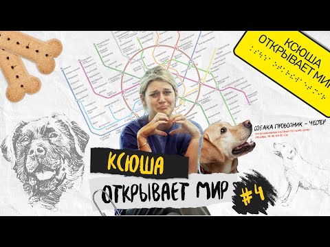 Видео: Какие собаки могут стать поводырями, как правильно обращаться к слепым и нужна ли им ваша помощь?