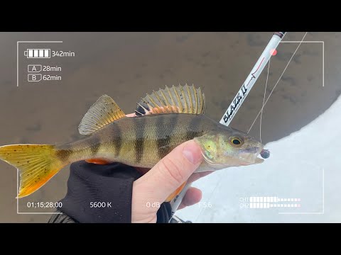 Видео: Norstream Blaze-2 632XUL. Микроджиг среди льда