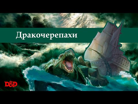 Видео: Хто такі дракочерепахи? | D&D Lore