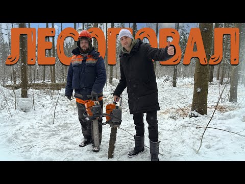 Видео: Чуть не убило! Все по настоящему! Валим лес бензопилами ZimAni с лесорубами!