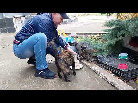 Видео: Нашелся Никита С Подругой Настей! 🔥