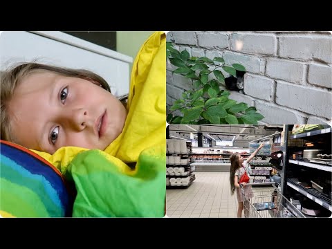 Видео: VLOG Скорая для Киры / Имя для Кота / Покупки и как мы нашли остальных котят