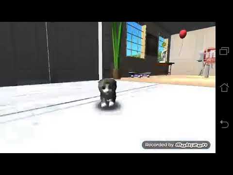 Видео: ПРОХОЖДЕНИЕ ВТОРЫХ УРОВНЕЙ | Cat Simulator | Симулятор Кошки