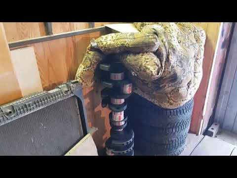 Видео: Поиск неисправной форсунки на дизеле за 2-е минуты.И подготовка к новому проэкту.