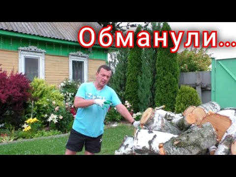 Видео: Лес исчез, на хутор, злой муж, неудачная покупка и другое...