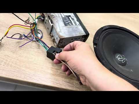 Видео: 23 октября 2024 г.