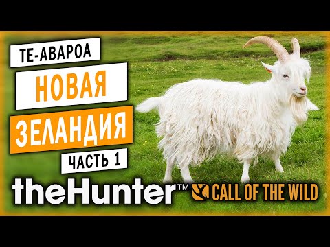 Видео: theHunter Call of the Wild #1 🐐 - Охота в Новой Зеландии - Новый Заказник "Те-Авароа" (2020)