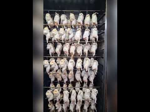 Видео: Видео отзыв клиента из Киргизстана .  Также описание процессов посола и копчения.