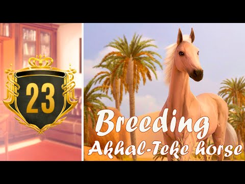 Видео: Разведение Ахалтекинской лошади и 23 ПРЕСТИЖ 🌺 Rival Stars Horse Racing