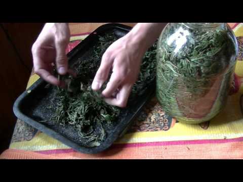 Видео: Иван - Чай (как делаю Я)