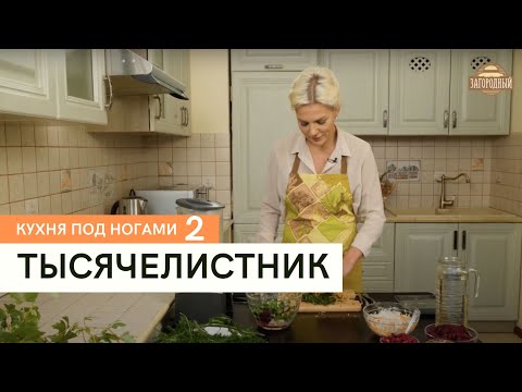 Видео: Тысячелистник \ Кухня под ногами. Сезон 2