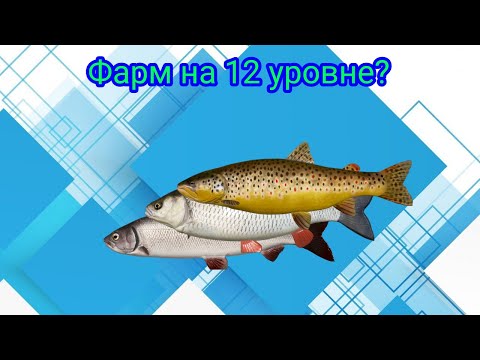 Видео: Река Белая\Ловля на Вертушки\РР4\Русская рыбалка 4