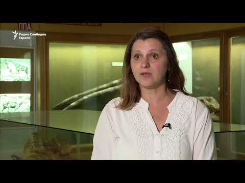 Видео: Македонскиот мастодонт и праисторијата на Панџеа