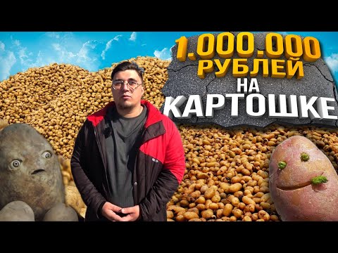 Видео: Сколько Зарабатывает Посредник без вложений?