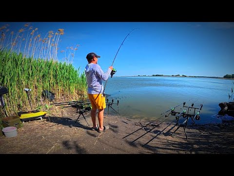 Видео: ЧЕКАВ ДОБУ І КЛЮНУВ ДНІПРОВСЬКИЙ СЛОН. Рибалка на дикого сазана