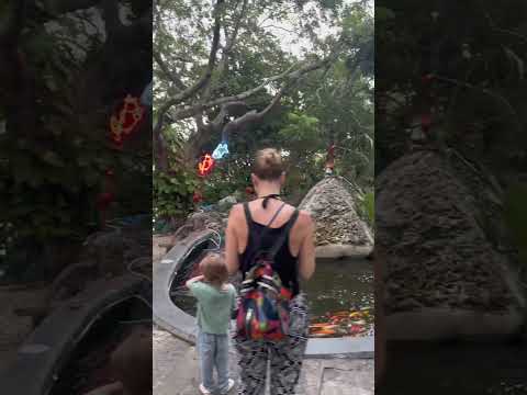 Видео: Парк в городе Санья «Олень голову повернул» на Хайнане 