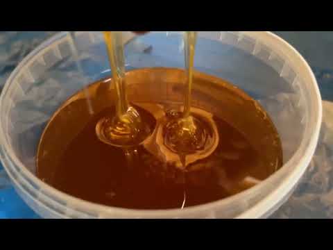 Видео: Сын качает мед, а я показываю томаты по сортам в теплице