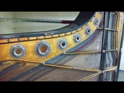 Видео: Обзор сохранности привезенного для ремонта концертного рояля " Я.БЕККЕР" 1895 г. выпуска в г. Санкт-