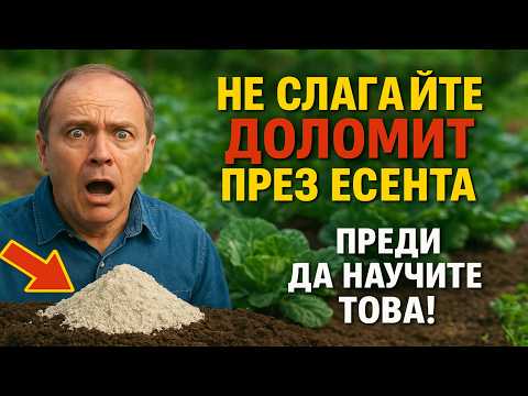 Видео: НЕ СЛАГАЙТЕ ДОЛОМИТ ПРЕЗ ЕСЕНТА, преди да научите ТОВА! 🤫 Цялата истина за разкисляването на почва