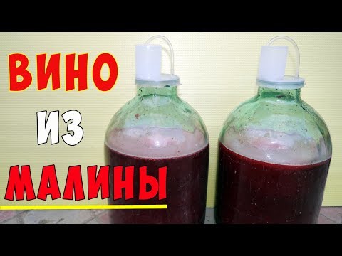 Видео: ВИНО ИЗ МАЛИНЫ / Малиновое вино / ПРОСТОЙ РЕЦЕПТ Часть 1