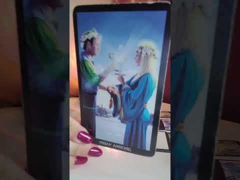 Видео: ✨Край или пауза на отношенията с намисленият човек ✨#ТАРО #ТАРОКАРТИ 