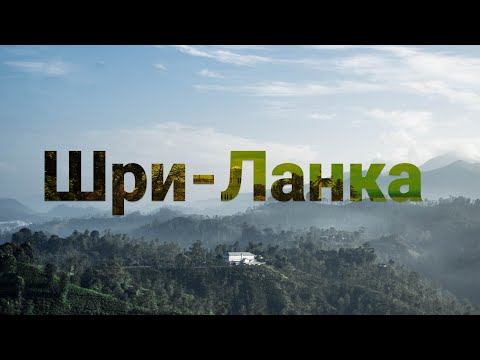 Видео: Хиккадува: Развод туристов, жильё, достопримечательности, цены – Всё о Путешествии!