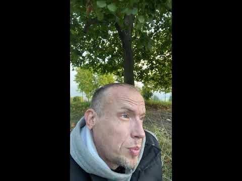 Видео: Трезвая жизнь в прямом эфире!