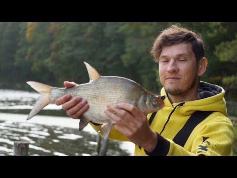 Видео: Ловля ЛЕЩА НА ФИДЕР осенью / Осиповичское водохранилище