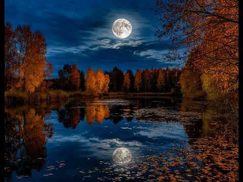 Видео: СУДЬБА-НАСМЕШНИЦА - Татьяна Лисовская