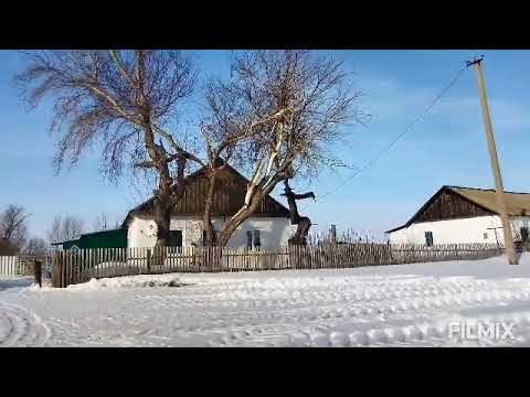 Видео: ДОСОВКА Денисовский район