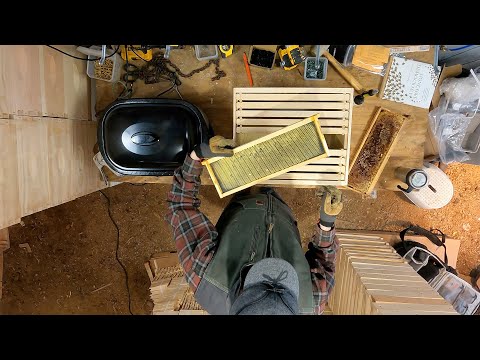 Видео: Как приманивать и заманивать ловушки для роя — Ловушка для роя №2