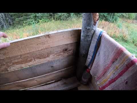 Видео: Охота на медведя на овсах. Кто кого нае.....ет.