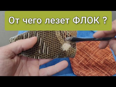 Видео: От чего лезет (ФЛОК)?