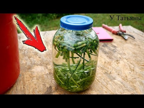 Видео: Готовлю САМЫЙ натуральный ИНСЕКТИЦИД и ФУНГИЦИД!!!