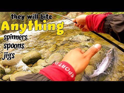 Видео: РАСКРЫТО: секретные места в реке, где прячется агрессивный лосось