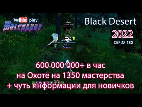 Видео: Правильный спот охоты Лань. Фарм серебра Black Desert 2022. Лучница.