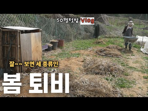 Видео: [Апрель -4] Весенний компост и ферменты полыни
