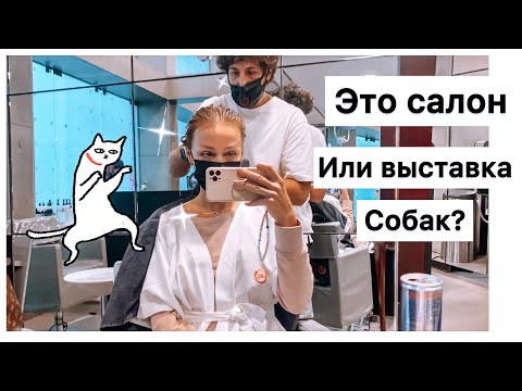 Видео: Сходила к ПАРИКМАХЕРУ в МИЛАНЕ| вот это цены! Что сделали?