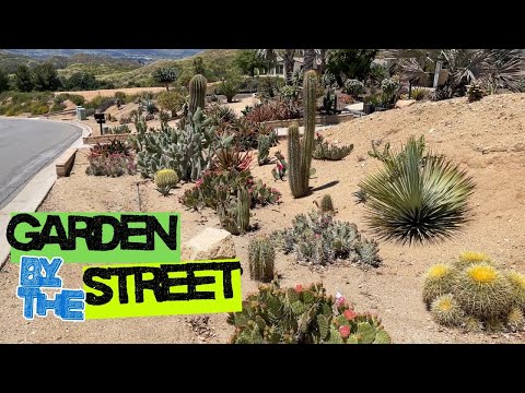 Видео: Типичный пустынный пейзаж Брента Уиганда