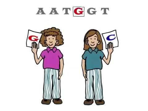 Видео: Генетика 101, 2 бөлүм ЖНП деген эмне