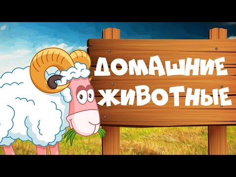 Видео: ДОМАШНИЕ ЖИВОТНЫЕ для детей - развивающие мультики учим животных для самых маленьких на русском