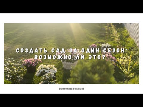 Видео: сад с нуля 🪏🌾| наши изменения на участке 