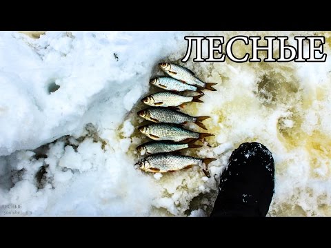 Видео: ЛОВУШКА ДЛЯ РЫБЫ ИЗ ЛЬДА - ЛЕДЯНОЙ ТУПИК | Ice Fish Trap