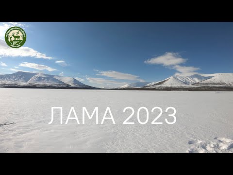 Видео: Рыбалка на Арктического гольца/озеро Лама/Таймыр/Плато Путорана