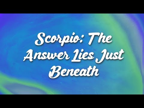 Видео: Скорпион: ответ лежит прямо под