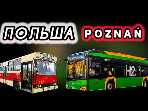 Видео: Поляки на АВТОБУСАХ… и ЭТО 21 век. Город Познань